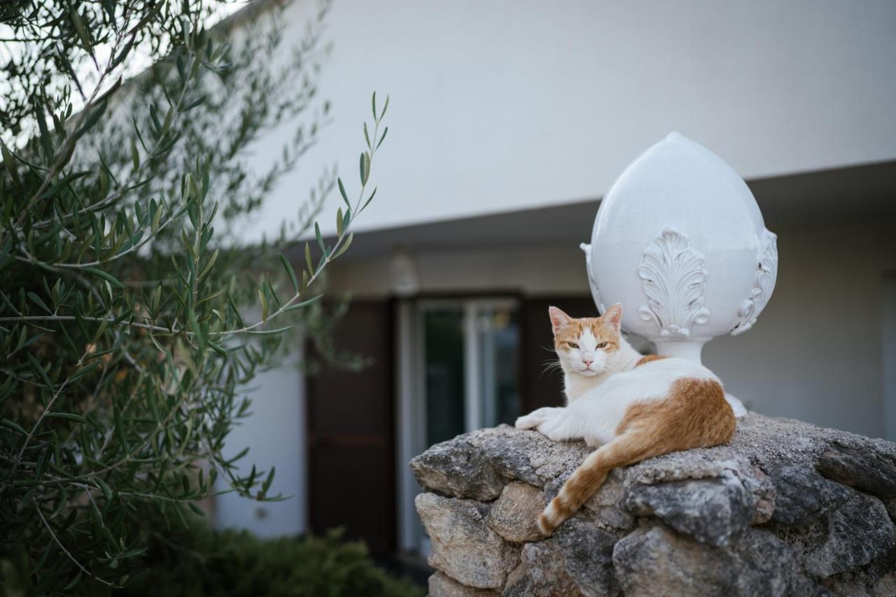 Prestigiosa villa con piscina condominiale Monopoli Esterno foto